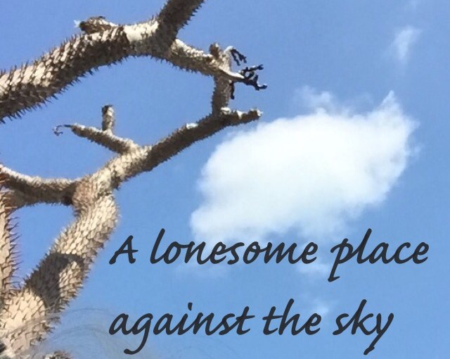 A Mother’s Thoughts