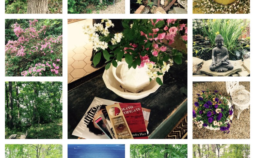 The Wildflower Child In&nbsp;Me